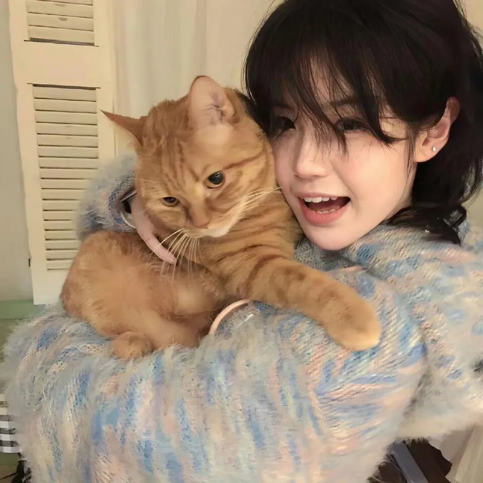 紧急呼救第七季