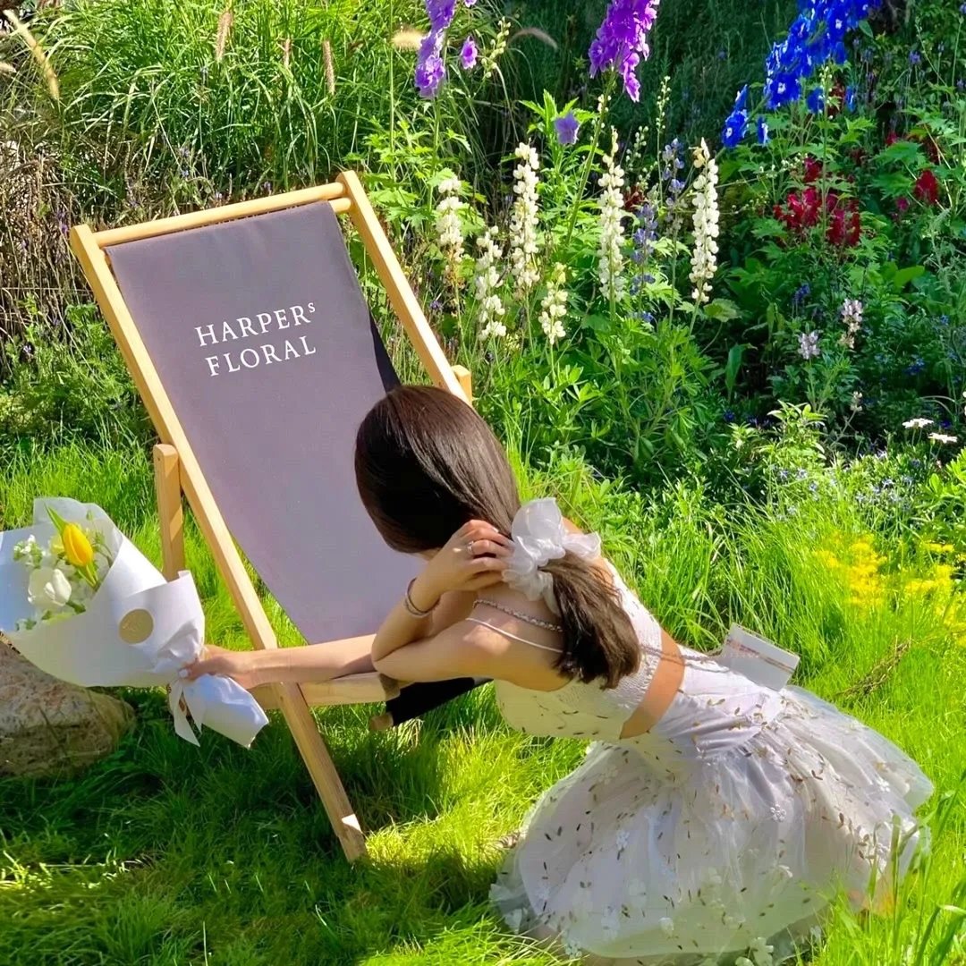 荒野迷案第二季