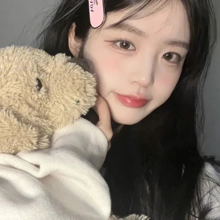 胡同猫
